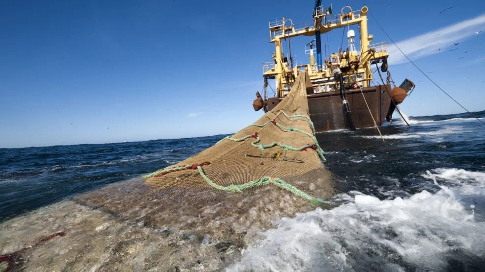 pesca-argentina-1652508